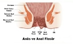 ANAL FİSSÜR